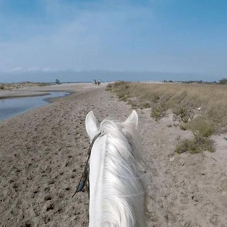 "Le Nature" Camargue Jardin Арль Экстерьер фото
