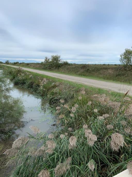 "Le Nature" Camargue Jardin Арль Экстерьер фото